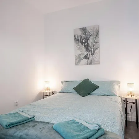 Acaymo Santa-Cruz de Ténérife