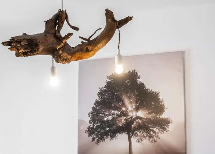 Acaymo Appartement *