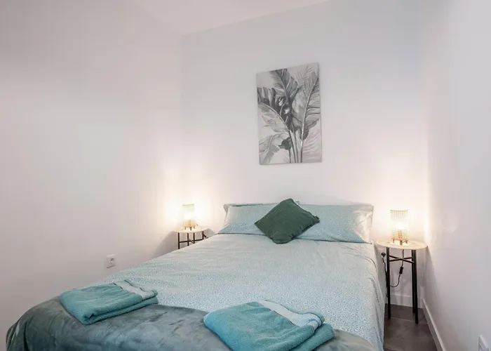 Acaymo Santa-Cruz de Ténérife