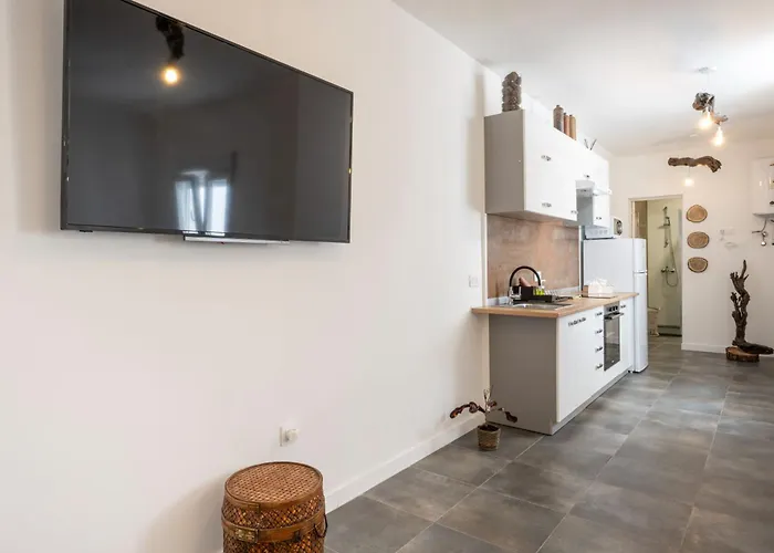 Acaymo Santa Cruz de Tenerife