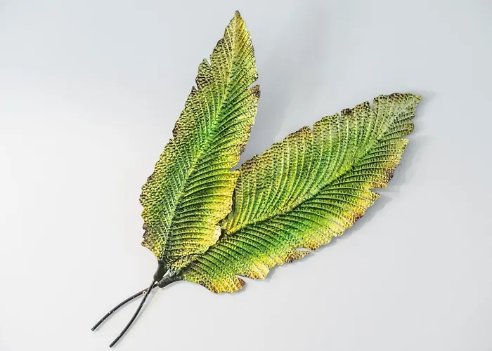 Acaymo * Santa Cruz de Tenerife